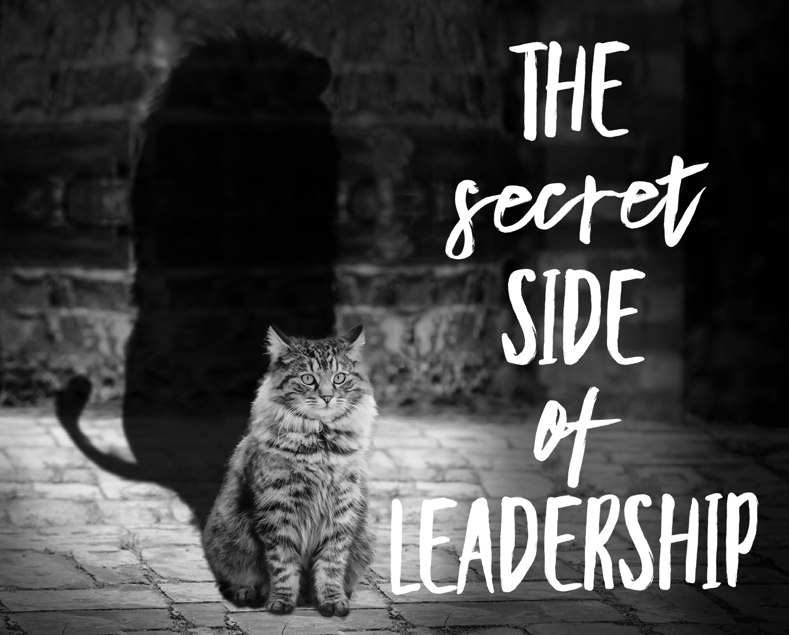 KN#139 – Anyone Can Be a Leader… Can’t They?